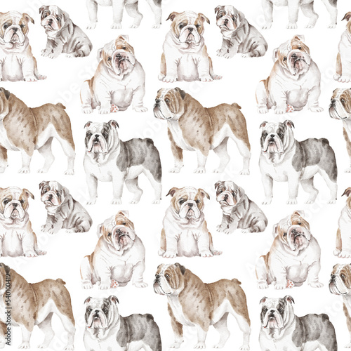 English bulldog seamless pattern © Anastasiya