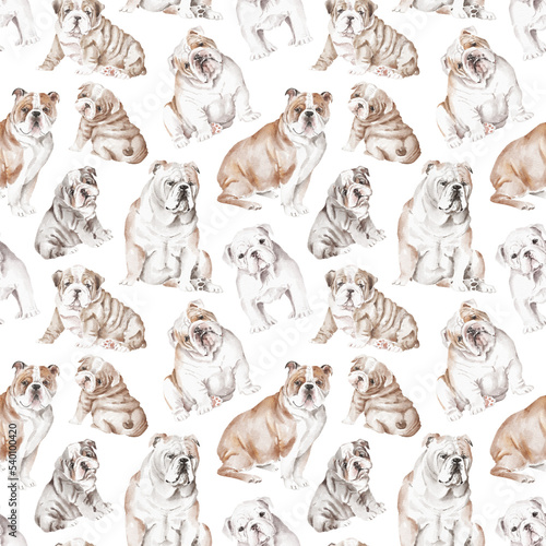 English bulldog seamless pattern