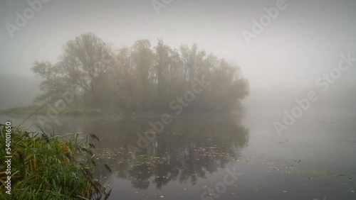 Mysterious forest lake with fog Timelapse 01-1