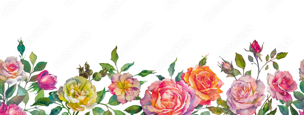 Seamless border of roses on a white background. Botanical watercolor illustration in a realistic style. Seamless border of roses on a white background. Botanical watercolor illustration in a realistic style.
