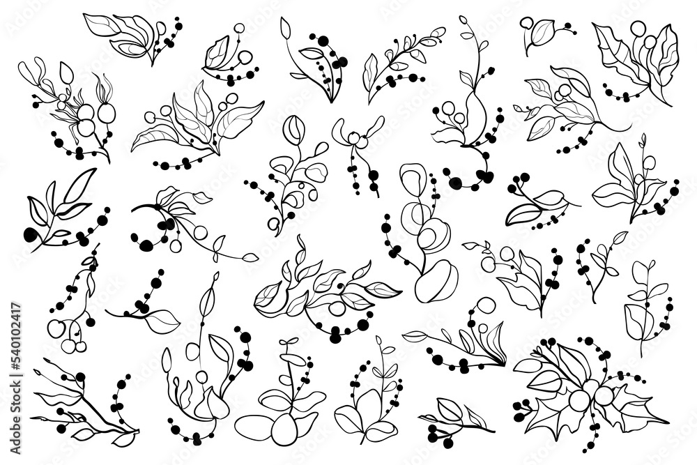 Contour floral set of decorative leaves, branches and berries Contour floral set of decorative leaves, branches and berries