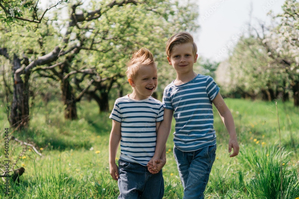 two little cute brothers cheerful walk in the apple orchard on a sunny spring day. High quality photo