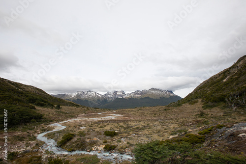 Alpine landscape. Panorama view of a glacier water stream flowing downhill across the meadow, valley, forest and Andes mountains, under a cloudy summer sky. 