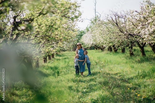 pregnant mother with two sons cheerful walk in the apple orchard on a sunny spring day. High quality photo