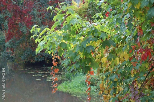 romantic River scene in Autunn photo