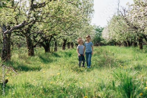 two little cute brothers cheerful walk in the apple orchard on a sunny spring day. High quality photo © Alek