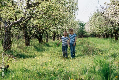 two little cute brothers cheerful walk in the apple orchard on a sunny spring day. High quality photo