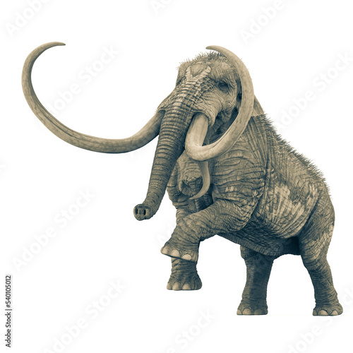 mammoth is angry in white background