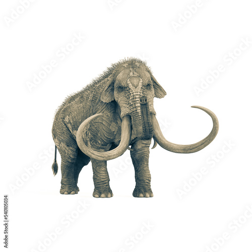 mammoth standing up in white background