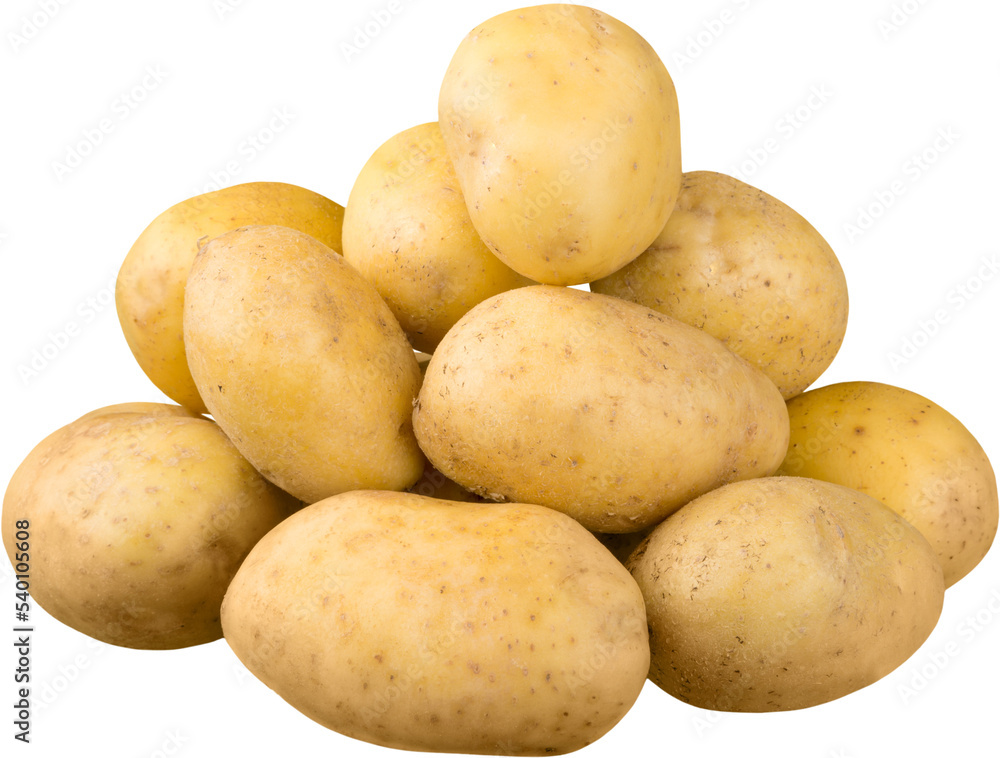Ripe Fresh Potatoes on white background Ripe Fresh Potatoes on white background