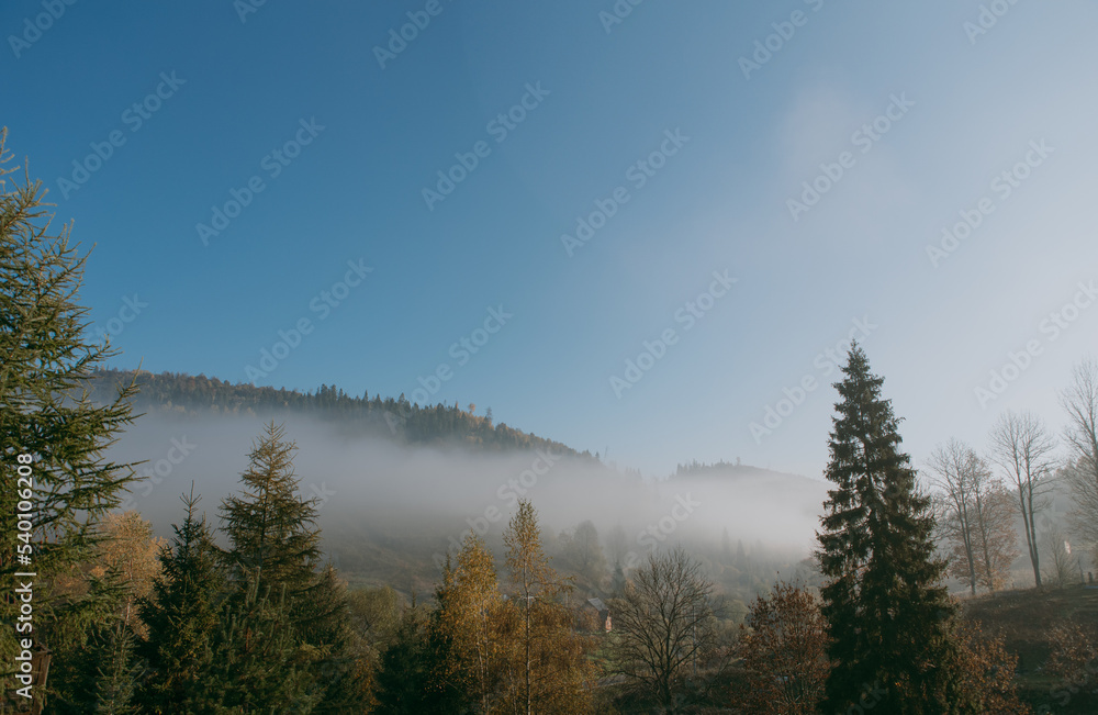 Beautiful landscape in the fall mountains, view of forest, pine trees and fog