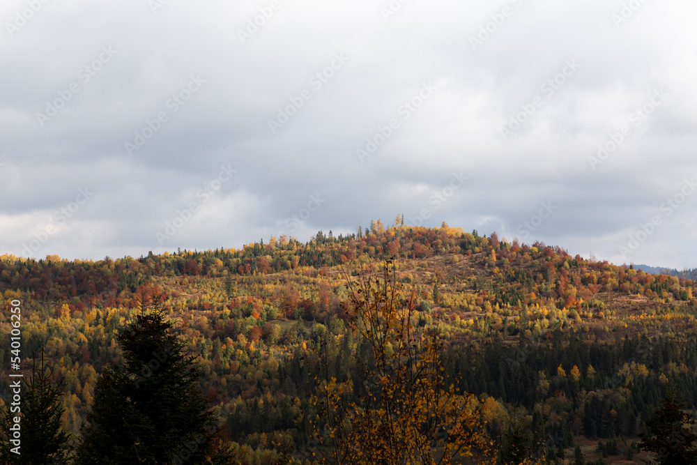 Beautiful landscape in the fall mountains, view of forest, pine trees and fog
