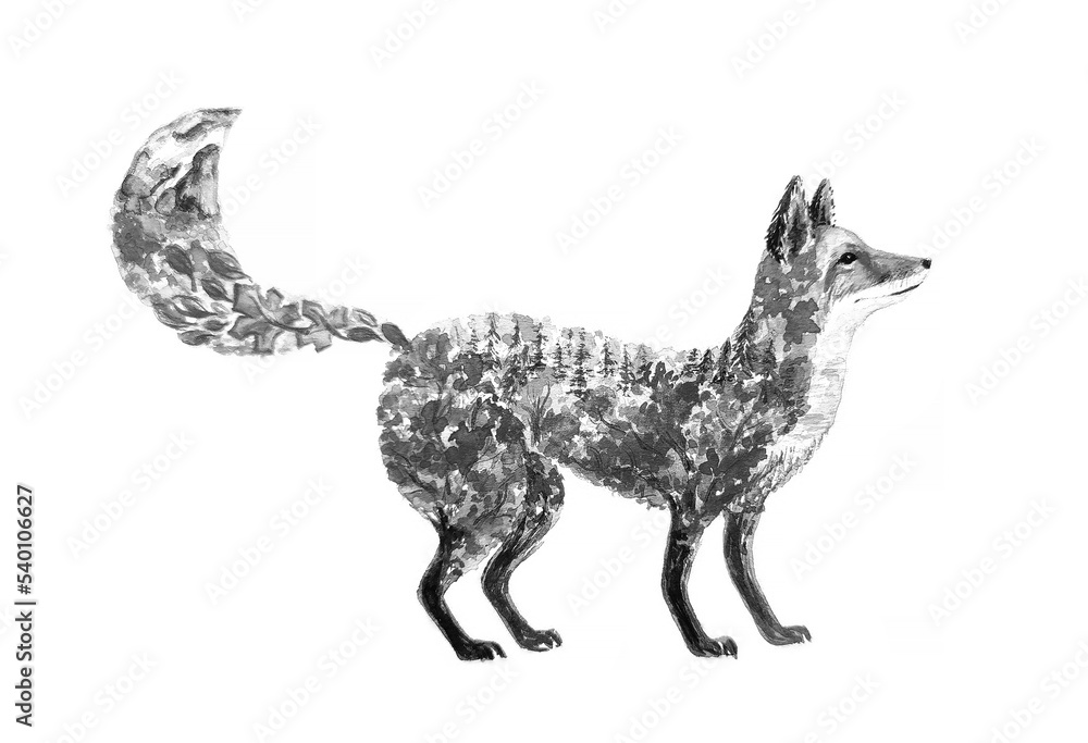 Fototapeta premium Black and white Fox in leaves on white background, watercolor