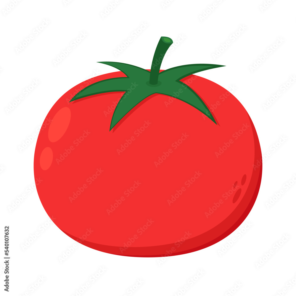 Tomato on white background. Vector illustration of fresh tomato. Tomato on white background. Vector illustration of fresh tomato.