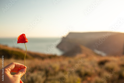 close-up of woman holding the red flower against the mountain and field