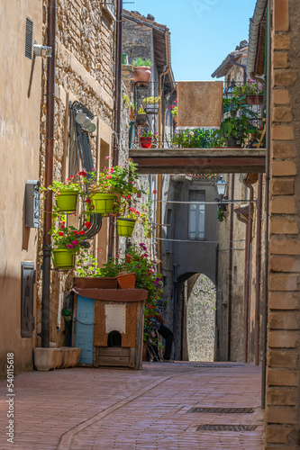 Fototapeta Naklejka Na Ścianę i Meble -  Beautiful streets with stone buildings and flowers in the historic center of Civitella del Tronto