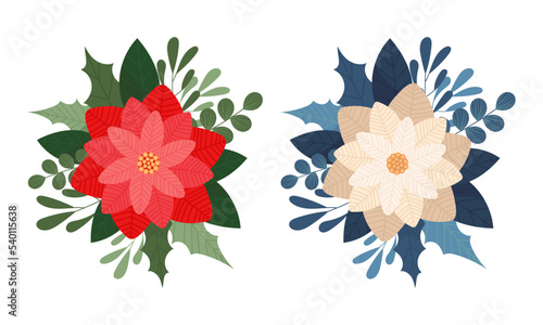 Christmas. Floral composition on a Christmas theme. Poinsettia. Christmas flowers set.