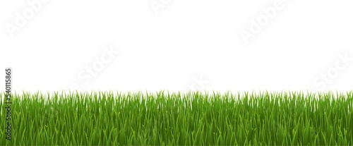 Green Grass Border Panorama Isolated White Background