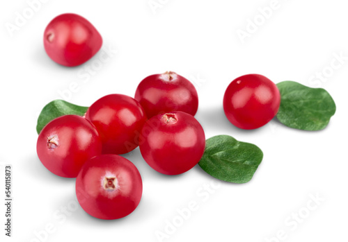 Red ripe cranberries on background