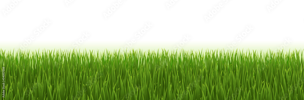 Fototapeta premium Green Grass Frame With White Background