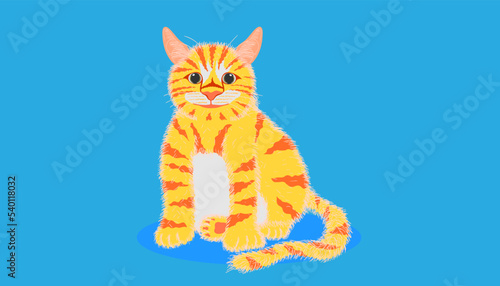 Yellow cat on a blue background