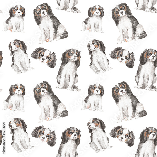 Photography Cavalier dogs seamless pattern