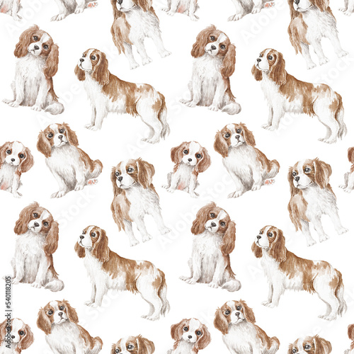 Fototapeta Cavalier dogs seamless pattern