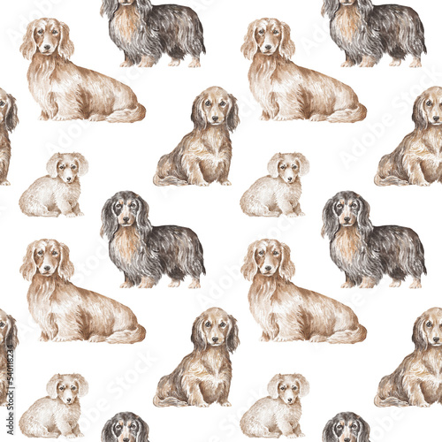Dachshund dogs seamless pattern