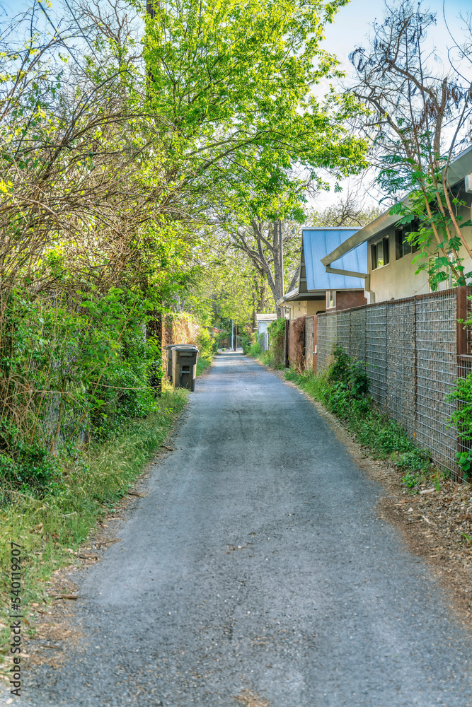 Narrow road behind houses in San Antonio Texas with tress and sky views