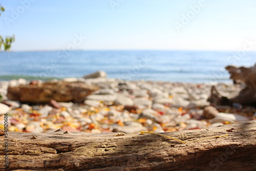 Photography Beach in the morning during the fall season, a place to chill in Toronto - CA