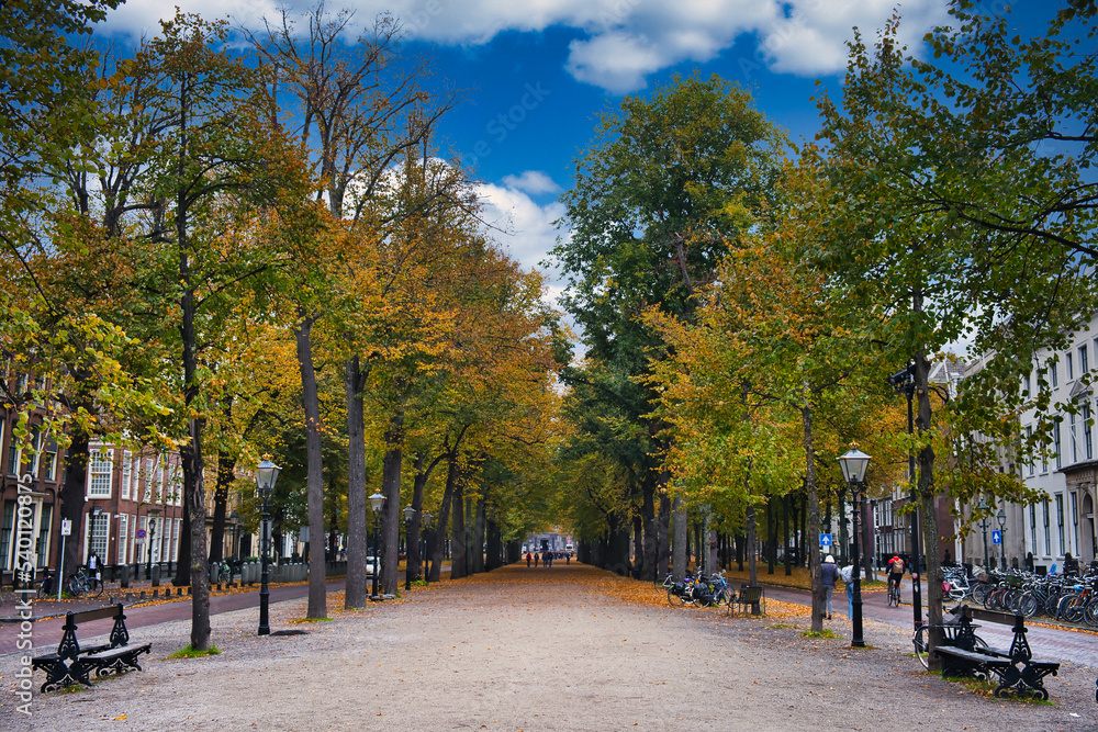 The Lange Voorhout, a leafy avenue in the city centre of The Hague, The Netherlands, on a sunny autumn day