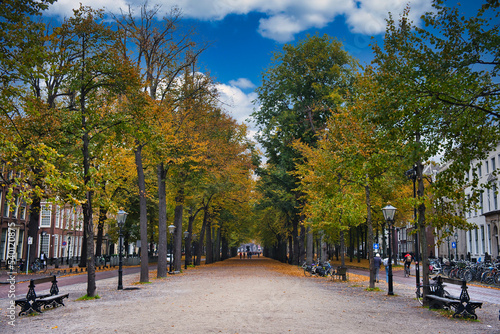 The Lange Voorhout, a leafy avenue in the city centre of The Hague, The Netherlands, on a sunny autumn day