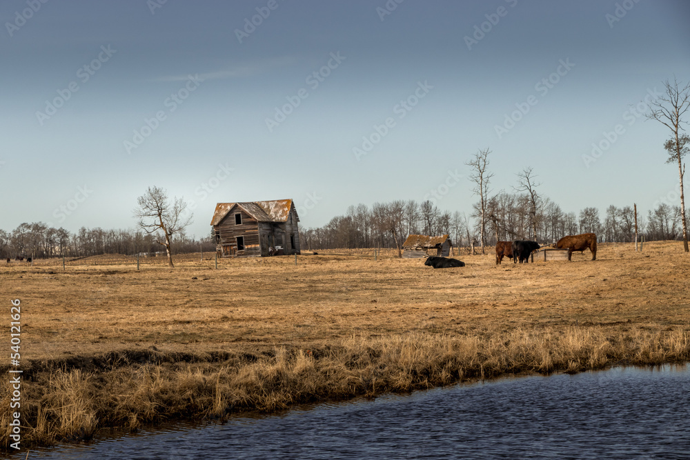 Fototapeta premium Fields marshes rustic out buildings Red Deer County Alberta Canada