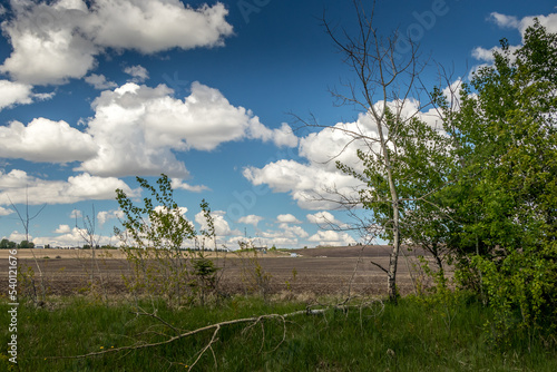 Farm land under a cloudy sky Red Deer County Alberta Canada © David
