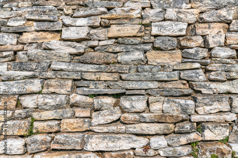 Old brick wall with small green plants growing in between the irregular blocks