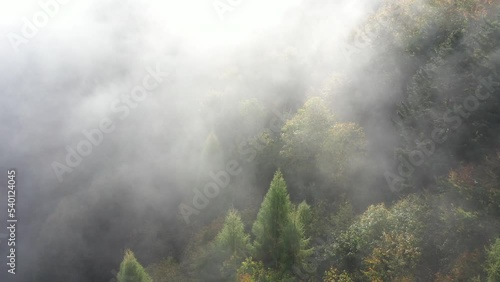 brume sur la foret avec soleil vu en drone photo