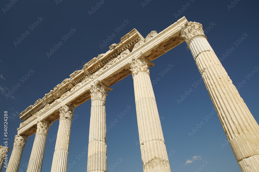 Columns in Laodicea on the Lycus Ancient City in Denizli, Turkiye Columns in Laodicea on the Lycus Ancient City in Denizli, Turkiye