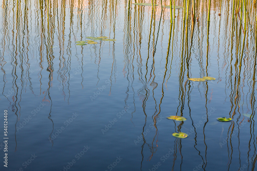 Reflection of the sky in the lake, water lines on the surface. Wallpaper, background, texture, pattern Reflection of the sky in the lake, water lines on the surface. Wallpaper, background, texture, pattern