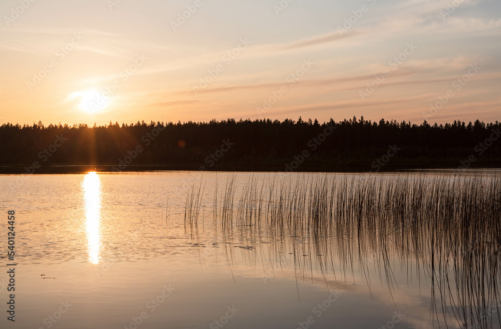 Lake in the forest in LAtgale region, Latvia. Sunset, reflection. Wallpaper, background