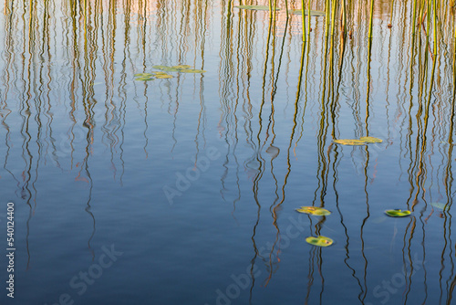 Reflection of the sky in the lake  water lines on the surface. Wallpaper  background  texture  pattern