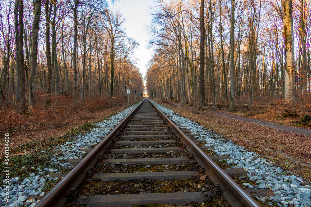 Fototapeta premium Landschaftsbilder mit geraden Schienenweg durch einen Wald