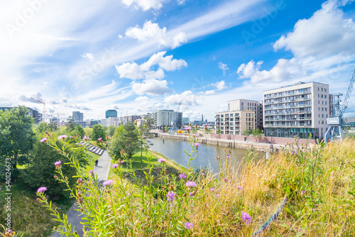 View over the Baakenpark in Hamburg. In the foreground an insect-friendly flower meadow, in the background the modern Hafencity with old harbor cranes. White clouds contrast the rich blue sky.