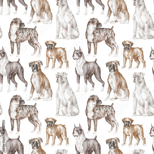 Boxer dog pattern