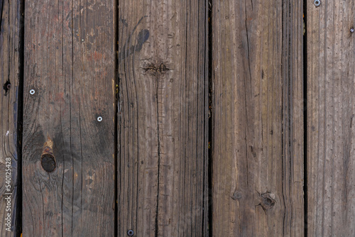 texture pattern of wooden background in Brazil