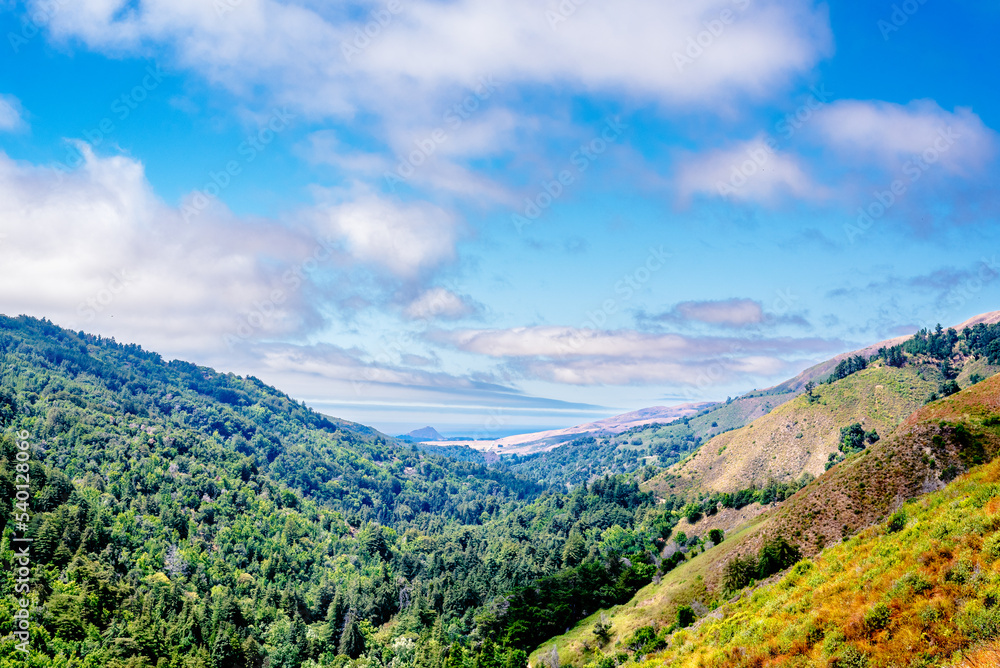 Naklejka premium valley and mountains with redwood forest in Big Sur, California 