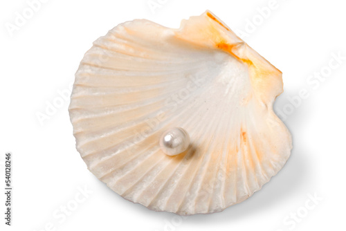 Sea shell with pearl isolated on white background