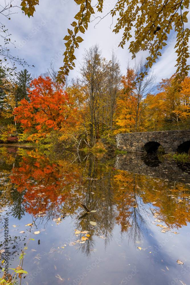 Fototapeta premium Autumn in Mont-Saint-Bruno National Park, Canada