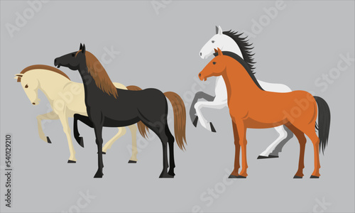 vector horses 