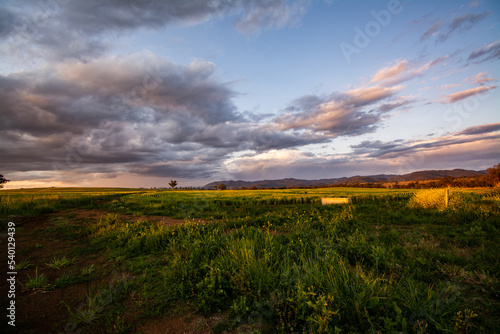 Sunset over the meadow