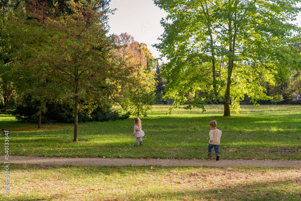 two small children, a boy and a girl, are walking in the park in the middle of autumn trees two small children, a boy and a girl, are walking in the park in the middle of autumn trees